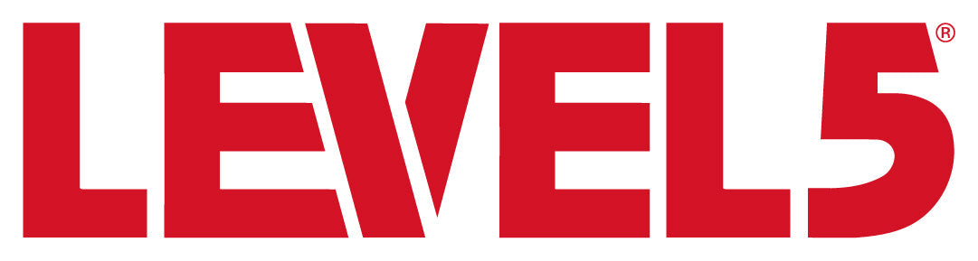 Level 5