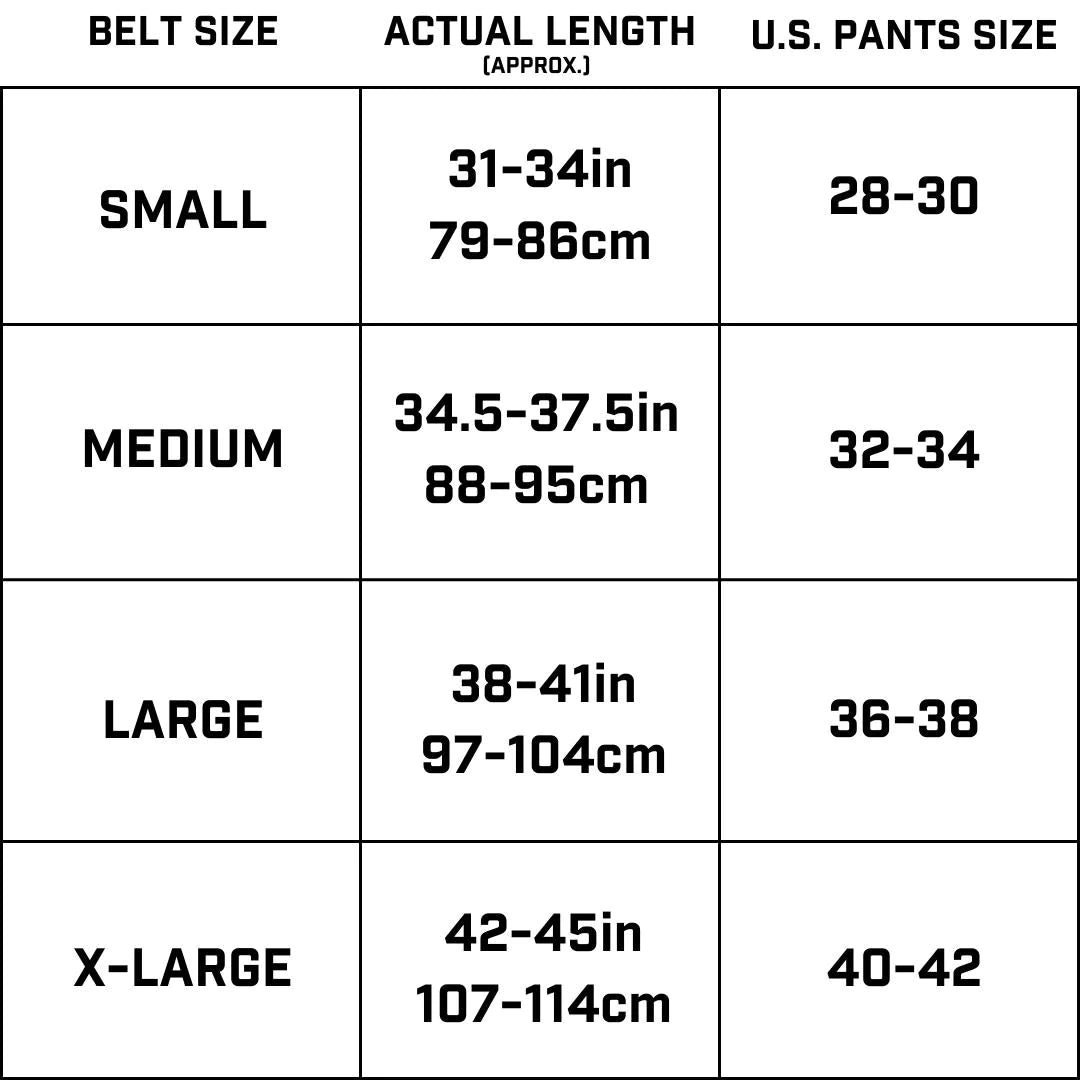 Holstery ModBelt Pro