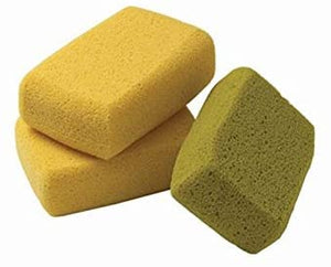 Sponges